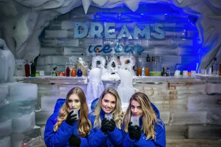 Dreams Ice Bar